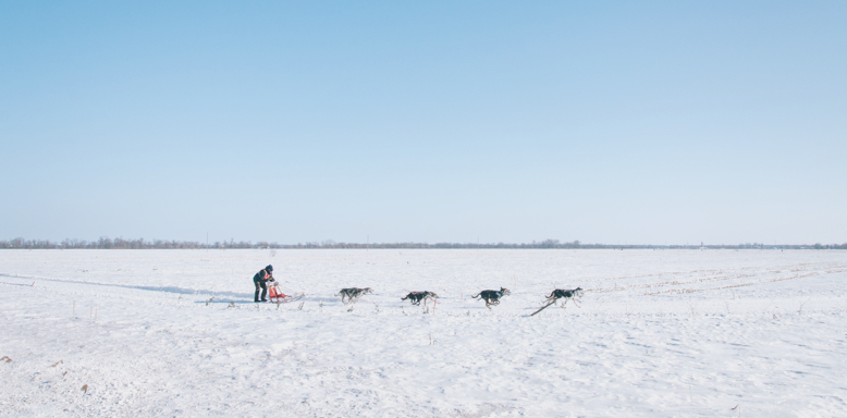 A dogsled team in Alaska